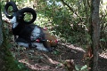 DSC04831