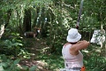 DSC04953