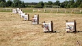 FXD_9246-1