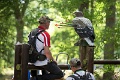 IMG_0666-1