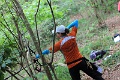 IMG_4354